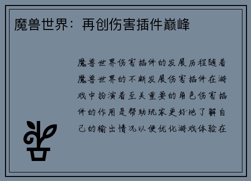 魔兽世界：再创伤害插件巅峰